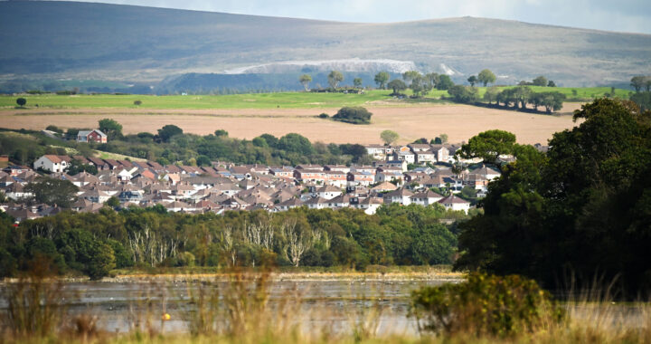 The River Plym towards Plympton